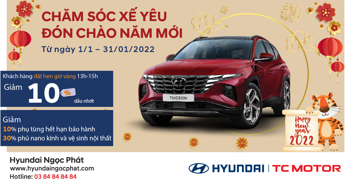 CHĂM SÓC XẾ YÊU – ĐÓN CHÀO NĂM MỚI️