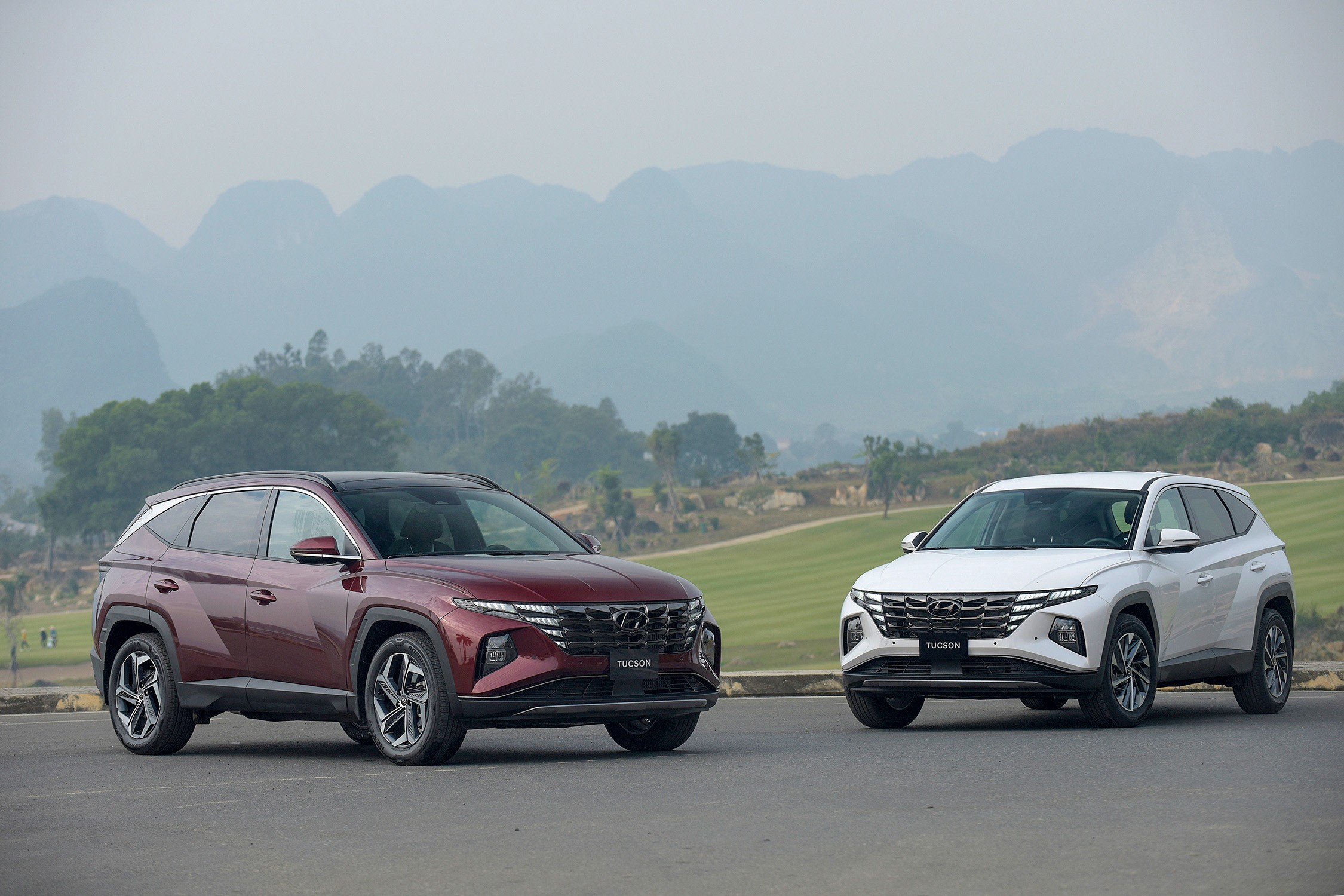 HYUNDAI THÀNH CÔNG CÔNG BỐ GIÁ BÁN MỚI CHO TUCSON VÀ SANTA FE
