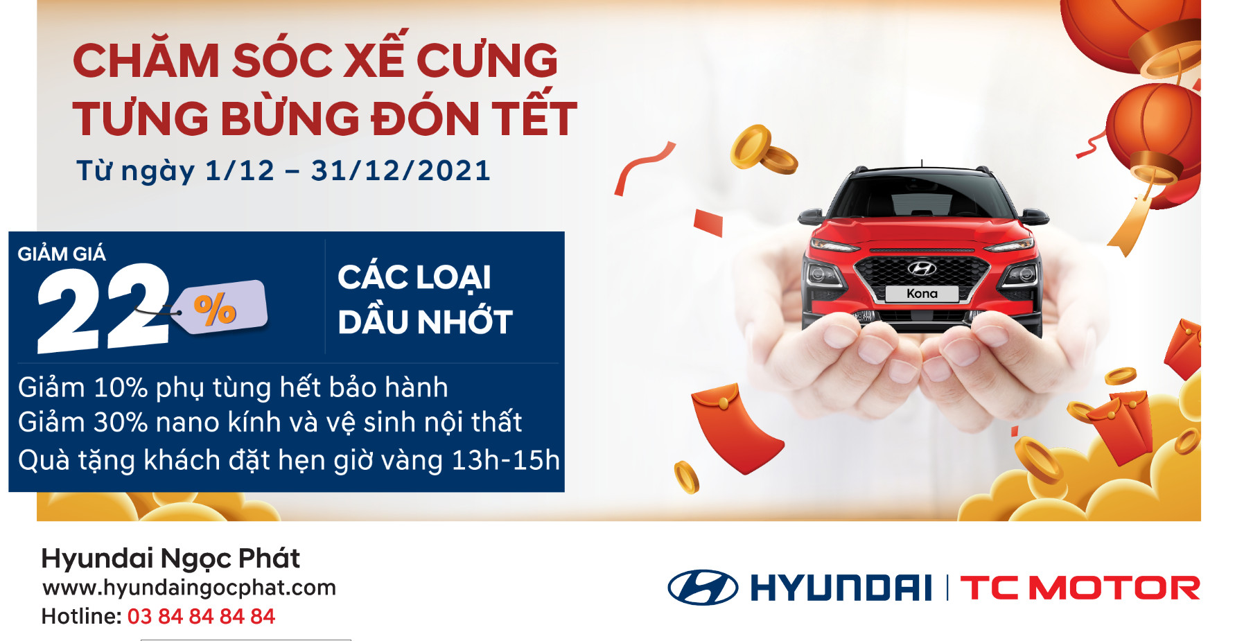 CHĂM SÓC XẾ CƯNG - TƯNG BỪNG ĐÓN TẾT